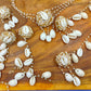 Gajra Kodi ( Shell) Collection